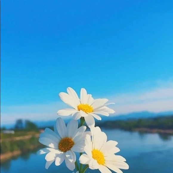 viktoriyamat